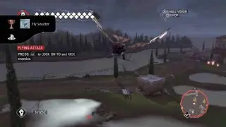 Assassin's Creed 2 fly swatter trophy