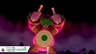 Rillaboom Is In The Room Pokemon Sword and Shield Gameplay