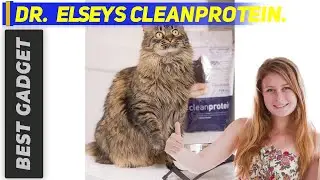 Best Cat Foods 2022 - Dr. Elsey's Cleanprotein Review