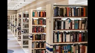 Is formal education the true measure of our capabilities?