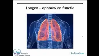 Longen - opbouw en functie