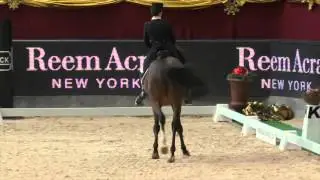 CDI5*-W Salzburg 2015 - Grand Prix K&uuml;r - Astrid Neumayer & Rodriguez