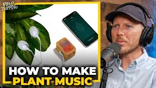 Listen To Joe Patitucci Make Music From Plants In Real-Time
