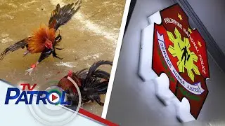 PNP, DICT pinalalakas ang mga operasyon laban sa e-sabong | TV Patrol