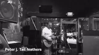 8-2-16' Peter J. Tail Feathers