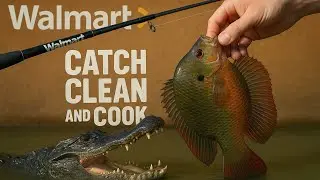 50$ WALMART CHALLENGE (catch/clean/cook)