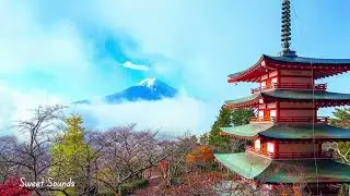 Arakura Sengen Shrine Meditation | Fujiyoshida Japan Nature Relaxation | Yamanashi Zen Ambience