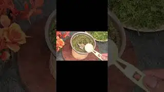 इस तरह बनाएं flavoured   salt// #subscribe #trending #recipe #cooking #breakast
