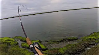Jersey Bay Spring Fishing // Catch and Cook