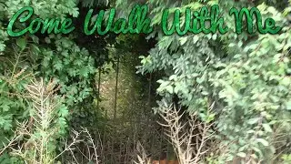 The Most Inaccessible Footpath In Flintshire | Flintshire Circular Walks