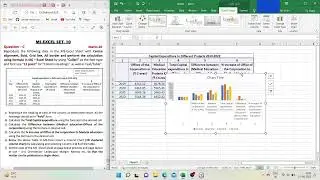 ESIC UDC/SSO Computer Skill Test 2022 || MS Excel Set 10 (Paid PDF) Solution ||