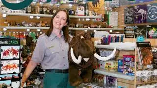 Waco Mammoth National Monument Gift Shop featured in Magazine   HD Mpeg