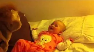 Millie moo vs the puppet or noogle baby vs mo seed
