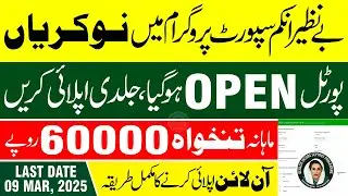 How to Apply for BISP Jobs 2025 | Benazir Income Support Programme Jobs | Latest Govt Jobs