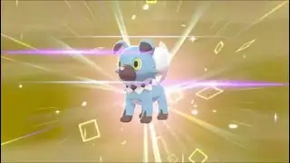 Shiny Rockruff (Masuda Method) 553 eggs