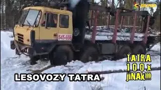 TATRA 100x jinak!!! Lesovozy TATRA!