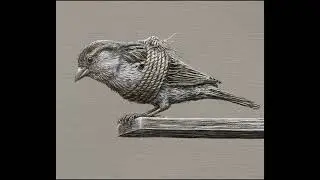 Deep Meaning Pictures || Today's picture 2023 #shorts #trending #viral #short #youtubeshorts