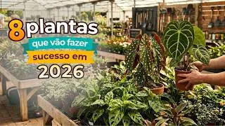 8 Plantas que Todo mundo vai Querer ter em 2026!