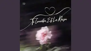 Tu Vas Me Manquer