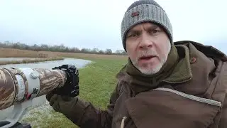 ФОТОГРАФИЯ ДИКОЙ ПРИРОДЫ | Адаптер Canon 600 мм, Fujifilm XT3 и Fringer EF-FX Pro II