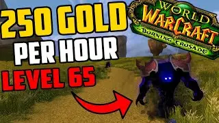 Farming 250 Gold Per Hour At Level 65 - Make Gold While Leveling in TBC Classic!