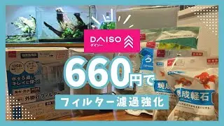 【アクアリウム】DAISO商品だけど濾過強化｜外掛けフィルター本気改造/It's a DAISO product, but with enhanced filtration #070 