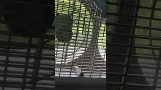 Holmes Twin Window Fan update with ncs music :]
