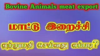 Buffalo meat export from india | beef export | எருமை மாட்டு இறைச்சி ஏற்றுமதி | Gokul Export