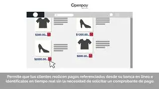 12 SPEI Openpay