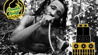 DOUBLE SPLIFF SOUND SYSTEM  