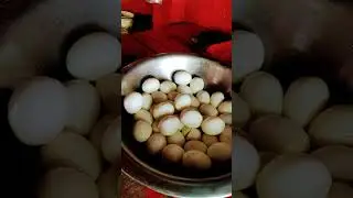 omega eggs#shorts