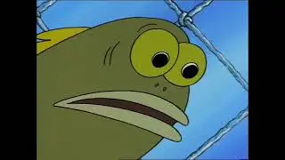 YOU WHAT!?
