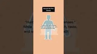 Beyond the Five Senses 👅👂👃👁️🧒
