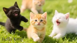 Adorable Kittens Frolicking on the Grass – Funny & Cute Cat Videos with Meows! 🐱💚