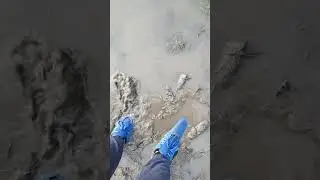 Mudding Blue Adidas Cloudfoam +lost shoes in mud (Part3)