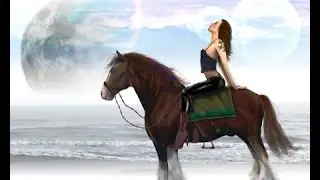 Alicia Online Multiplayer!