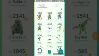 100% IV Raikou *PROOF*