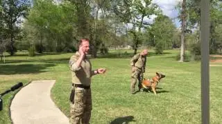 K9 Demo by Danish Air Force at Mission K9 BBQ