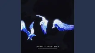 Digital Liberty