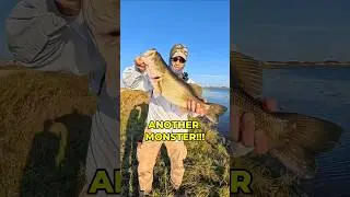 Google Earth &rarr; GIANT Bass From Bank Fishing!