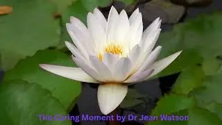 The Caring Moment by Dr Jean Watson