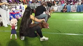 Team Azkal Anniversary Show