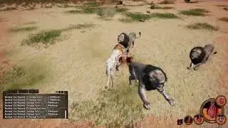 Animalia Survival Life of a Nomad Lion