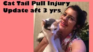 CAT TAIL PULL INJURY IMPROVES after 3 Years! Miracle! Cat Chat 😸 BROKEN TAIL CAT IMPROVES! SO HAPPY