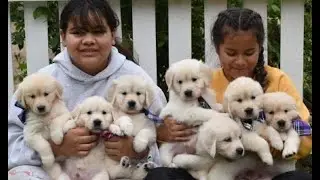 Happy Father's day!!! From the Maybeline and Sven litter!