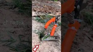 snake trap using cable and scissors #how to make a simple snake trap #arrest everything #snake trap