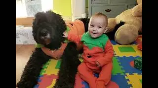 The Goodwin Family's 2019
