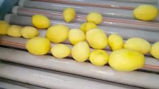 PATATES SOYMA MAKİNESİ EMS 420