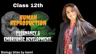 Pregnancy and embryonic development in Hindi | Human Reproduction | Class 12th #youtube #science