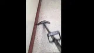 Clean your carpet  call 609-929-9128